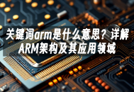 苹果cms模板关键词arm是什么意思？详解ARM架构及其应用领域苹果cms