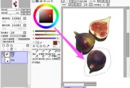 sai怎么放大选中区域?sai放大选中区域方法