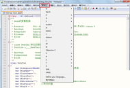 代码编辑器(Notepad++)怎么设置语言格式?代码编辑器(Notepad++)设置语言格式教程